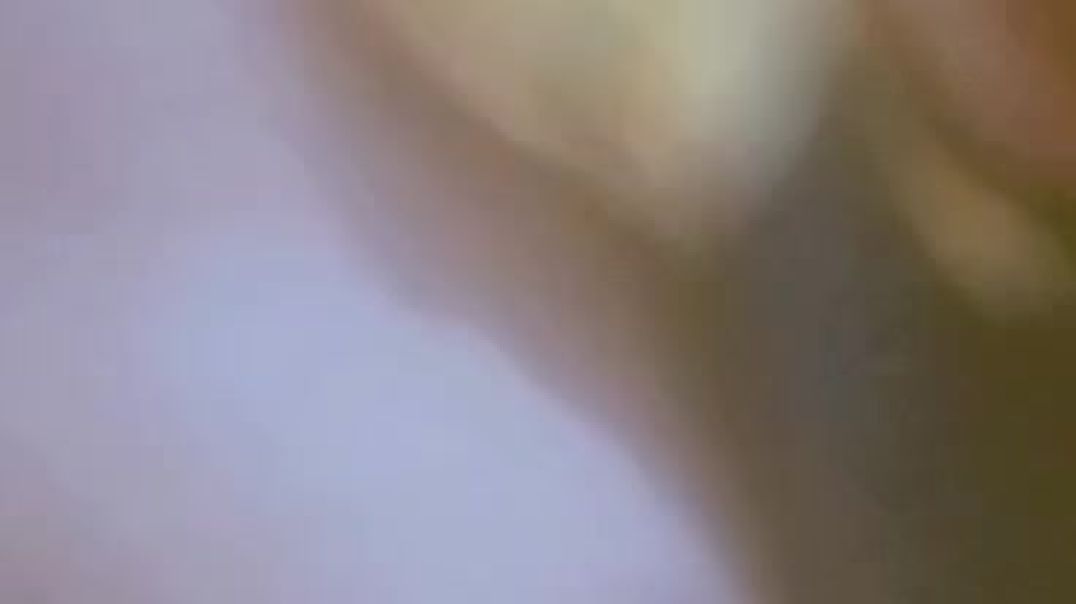 VID-20250408-WA0013